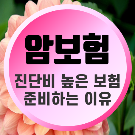  암진단보험 비교할 때 암진단비 높은 보험으로 준비해야 하는 이유