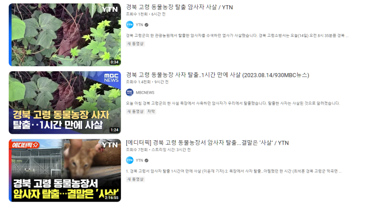  고령 사설 동물농장 탈출 암사자 사살. 역대 탈출한 동물 모음