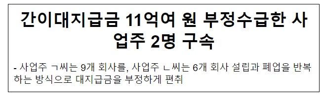 간이대지급금 11억여 원 부정수급한 사업주 2명 구속 간이대지급금 11억여 원 부정수급한 사업주 2명 구속