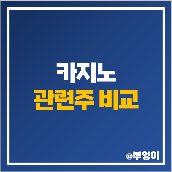 중국 단체관광 카지노 관련주 수혜주 롯데관광개발 강원랜드 주식 주가 순위 중국 단체관광 카지노 관련주 수혜주 롯데관광개발 강원랜드 주식 주가 순위