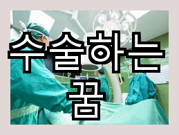 수술하는 꿈을 통해 성장하는 이야기