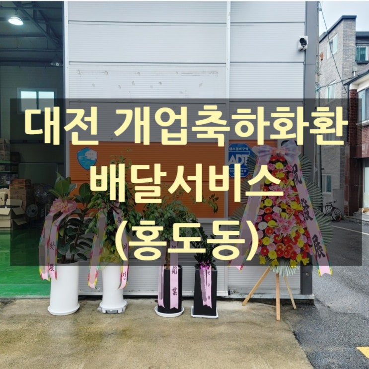  대전 개업축하화환 배달했습니다.(홍도동)