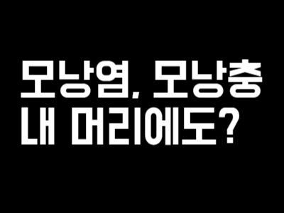 두피 모낭염, 모낭충 극복하는 3가지 방법(두피관리 천연샴푸바)