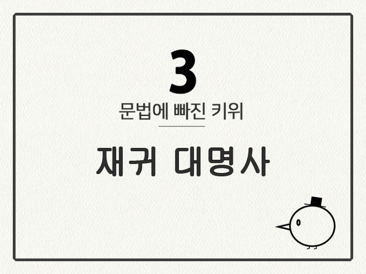  [영어 기초 문법] 대명사 #3 재귀 대명사
