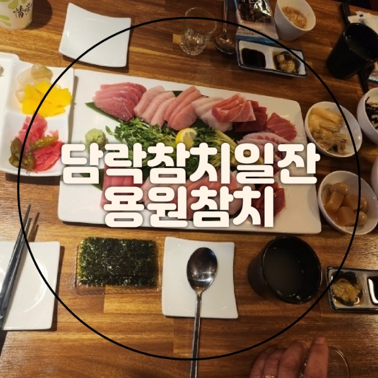  [용원신항맛집] 담락참치일잔