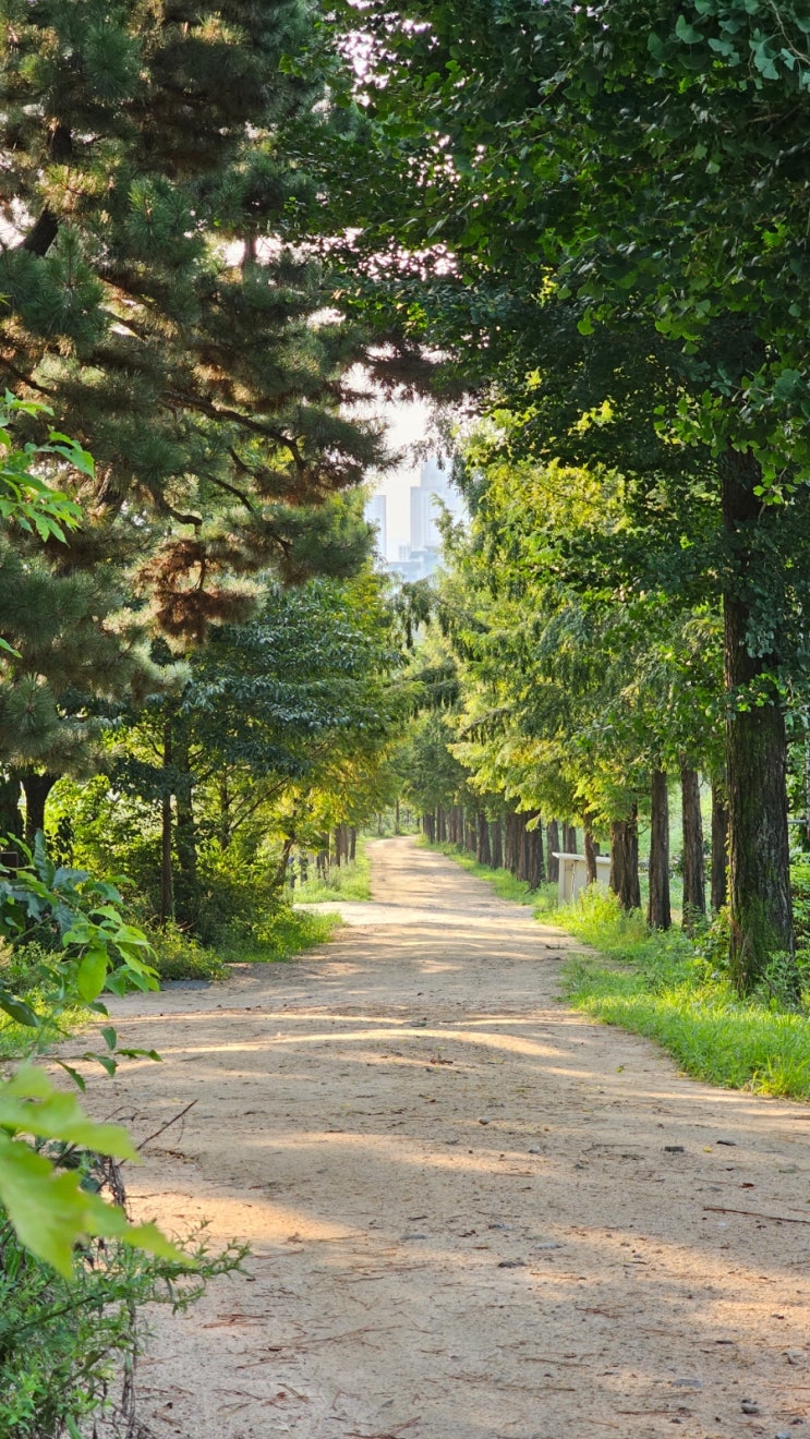  별내 산책길, 조용한 산책, 성베네딕도회 요셉수도원 길을 걷다