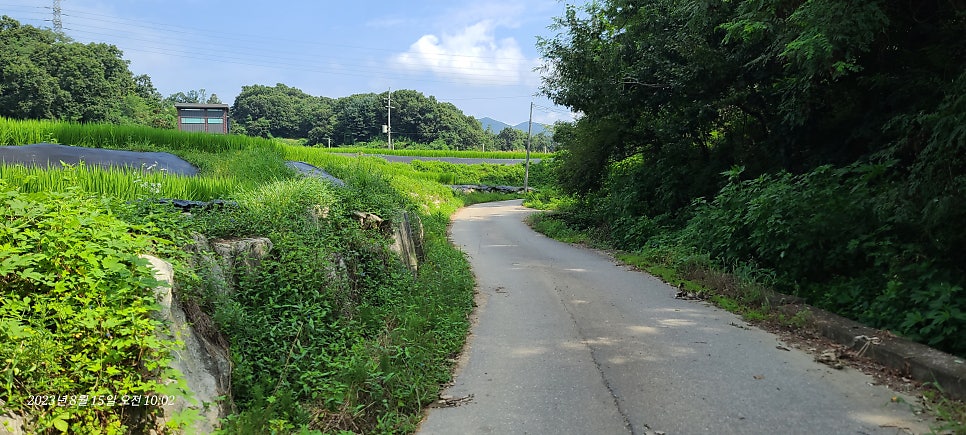 빈양산 사진 5