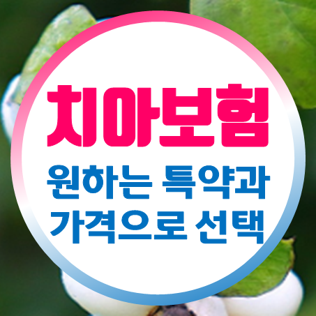  어린이치아교정보험 선택 시 특약을 통해 어린이치아보험가격 얼마인지 알려드립니다.