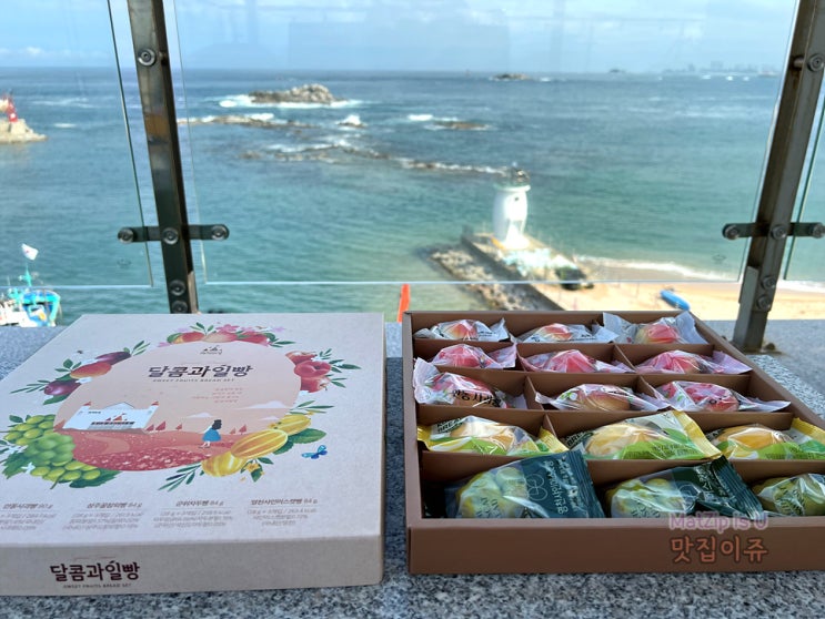  속초관광수산시장 기념품 추천 빵집 설악산단풍빵