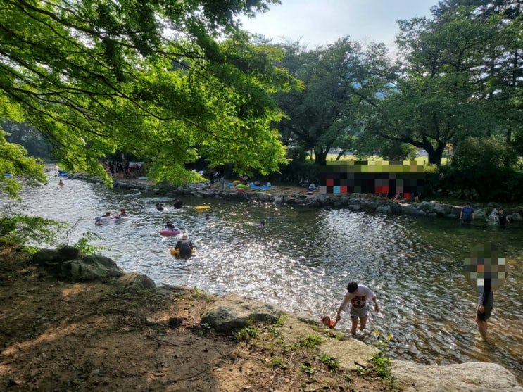  [충북 보은군] 속리산 법주사 사내리야영장 계곡 / OK펜션