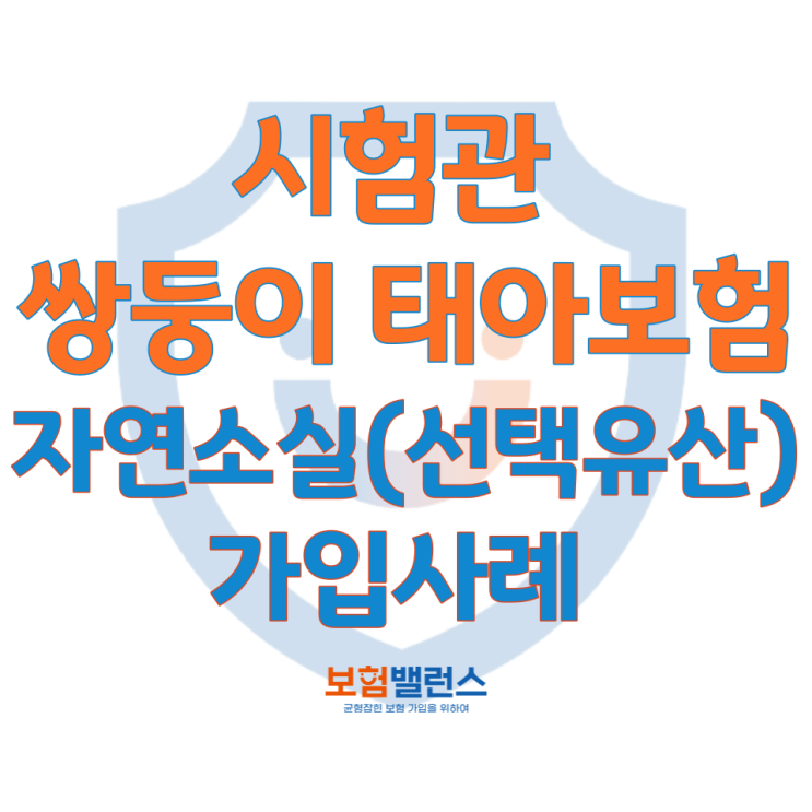  시험관쌍둥이태아보험 자연소실(선택유산) 후 태아보험 가입사례(Feat. 산모특약도 가능해요)