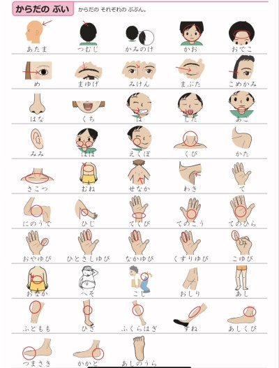 일본어 단어장 Pdf 무료 공유 [기초 단어 모음] : 네이버 블로그