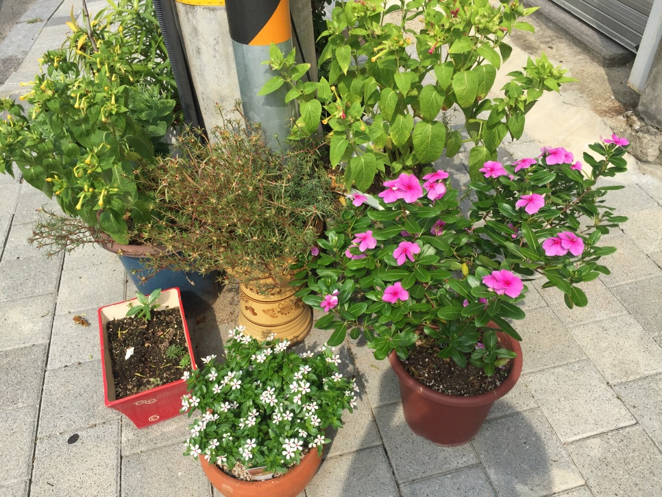 읍내빵다방 사진 2