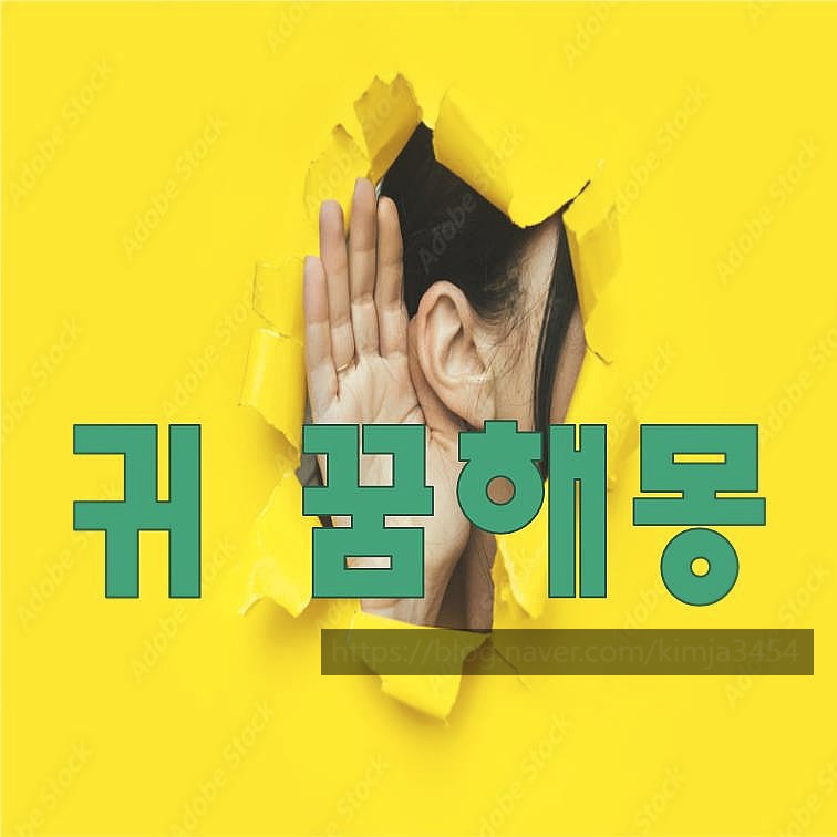 귀꿈해몽 귀와 관련된 꿈해몽 귀에서 피나는 꿈