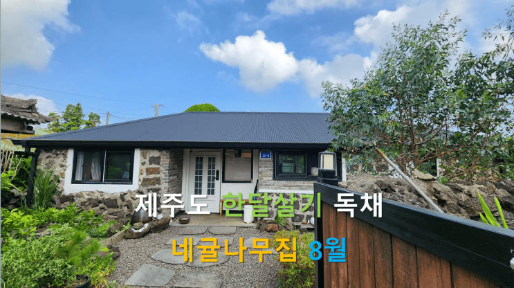 제주도 한달살기 독채, 한적한 시골 돌집 돌담집, 8월