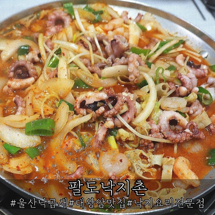  울산낙곱새 맛집 대왕암 근처 산낙지 잘하는 팔도낙지촌