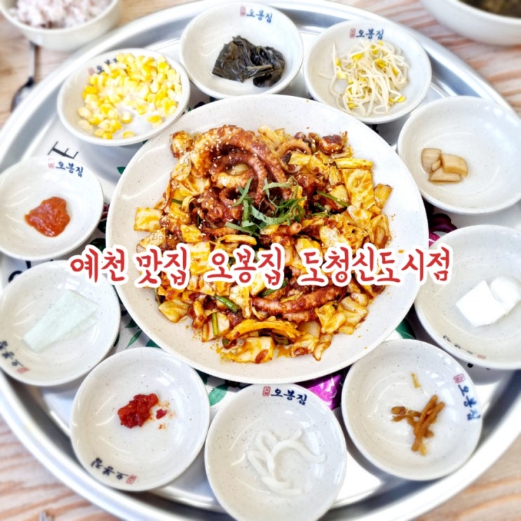  예천 맛집 오봉집 도청신도시점 feat 경북도청 맛집