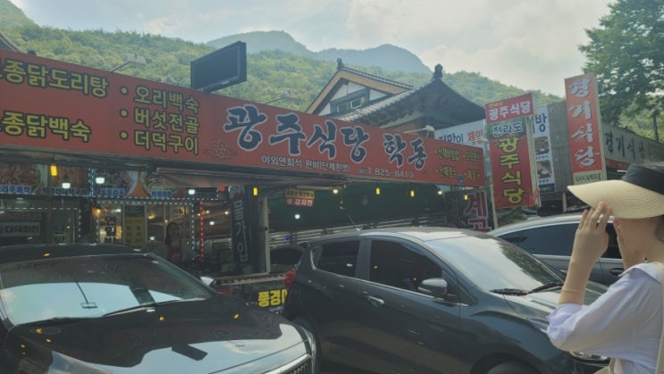 동학사계곡 동학사맛집 광주식당 학동 후기