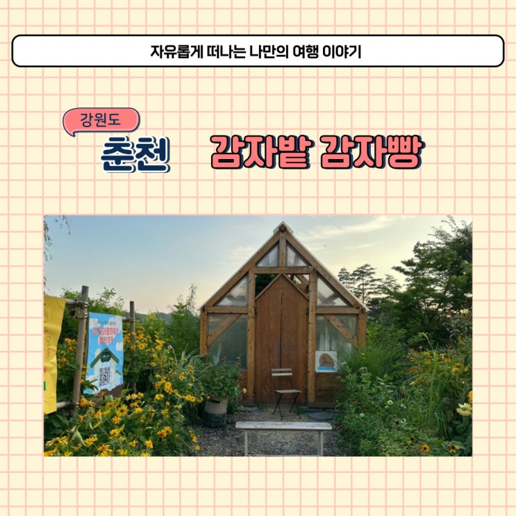  춘천 감자밭 카페 다녀왔어요 감자빵 가격과 택배 와 보관방법