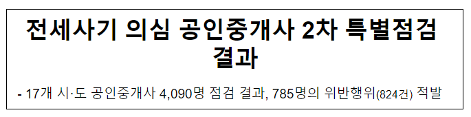 전세사기 의심 공인중개사 2차 특별점검 결과