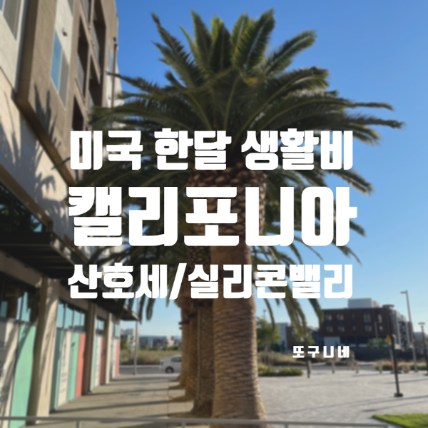  미국 한달 생활비 캘리포니아 실리콘밸리, 산호세 2인 가족 2023년 7월
