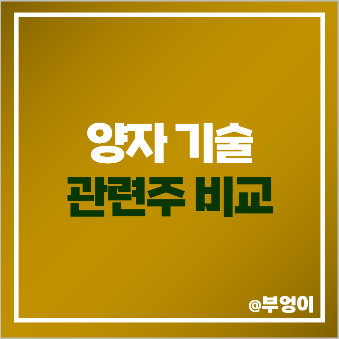 양자 컴퓨터 기술 관련주 종류 비교 우리로 텔레필드 주식 주가 양자 컴퓨터 기술 관련주 종류 비교 우리로 텔레필드 주식 주가