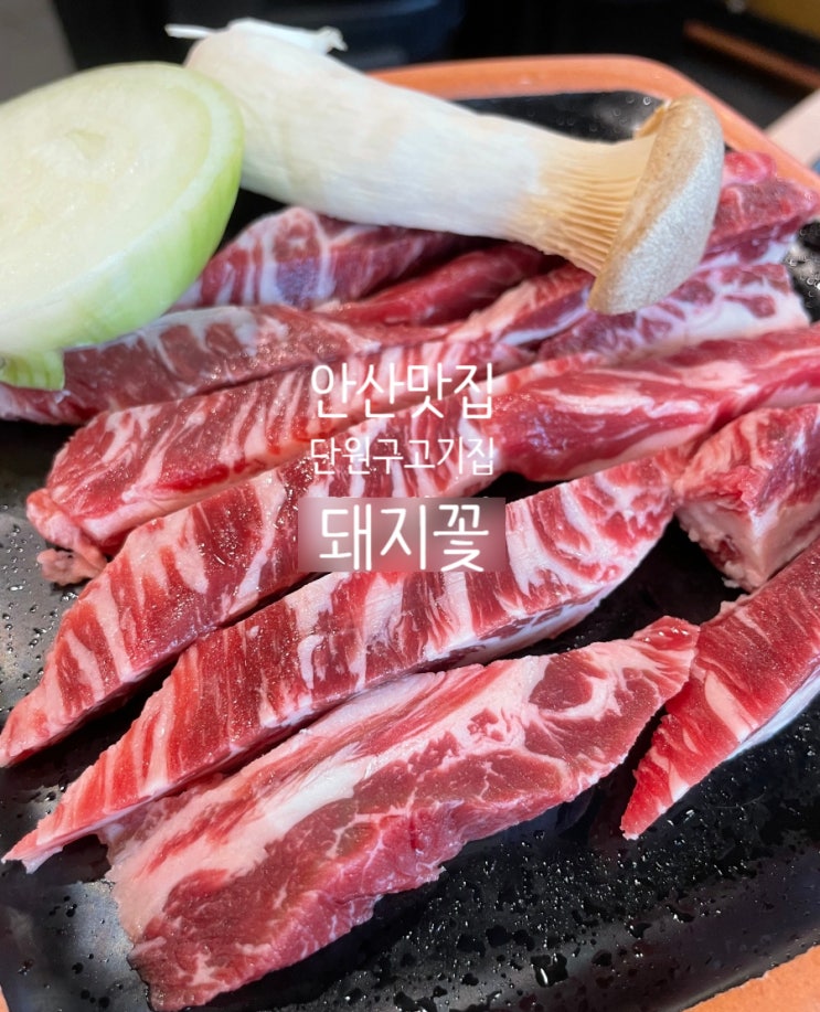 <b>안산</b> 맛집 <b>단원구</b> 고기집 돼지꽃 <b>갈비</b>구이가 일품이네요