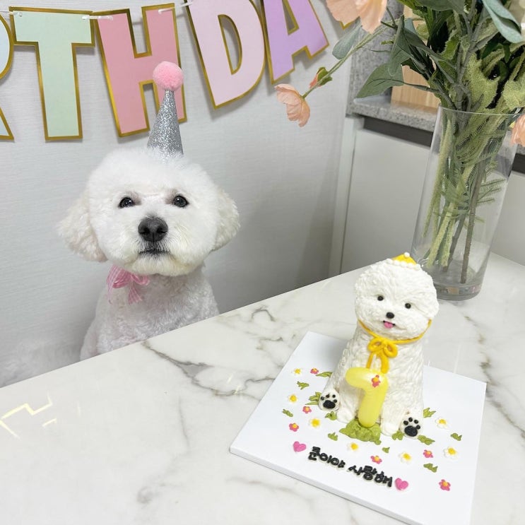  강아지 생일케이크 송도 이야 YIYA에서 준비했어요