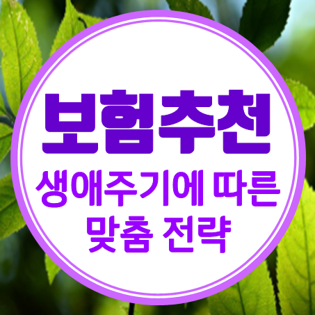  생애주기에 따른 애기보험 가입부터 어르신보험 추천 전략