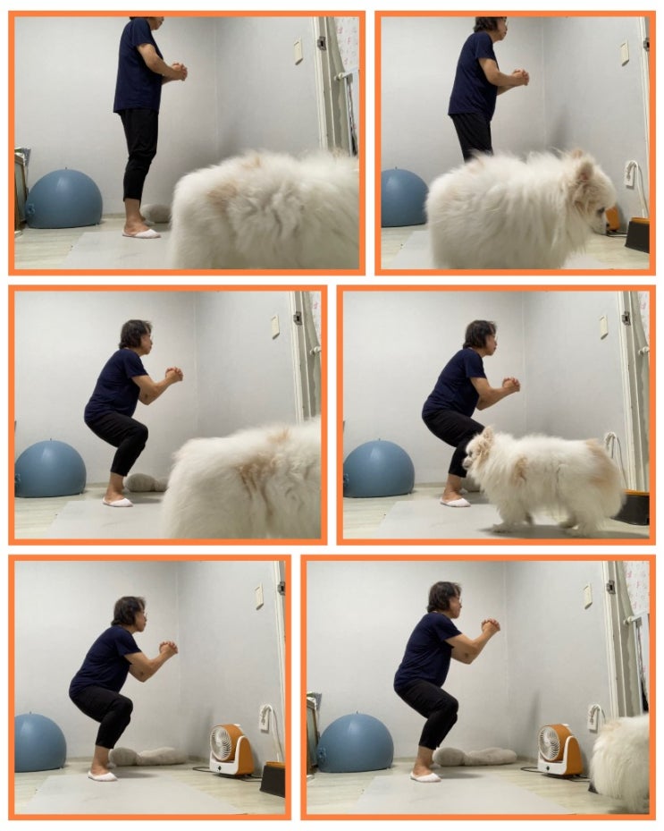  체지방 감소에 도움을 위한 앱소브Ⅳ 5일차