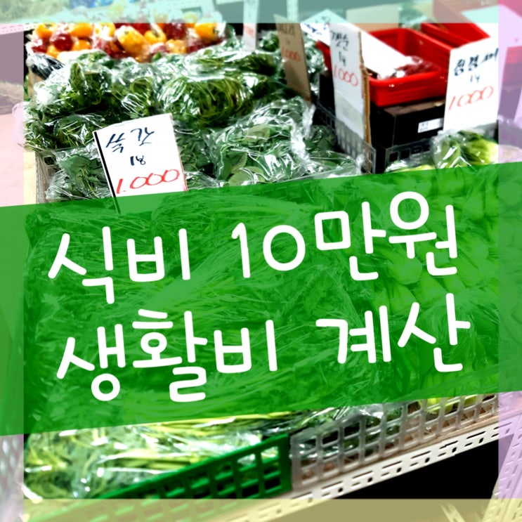  생존을 위한 최소 생활비 계산, 식비 10만원