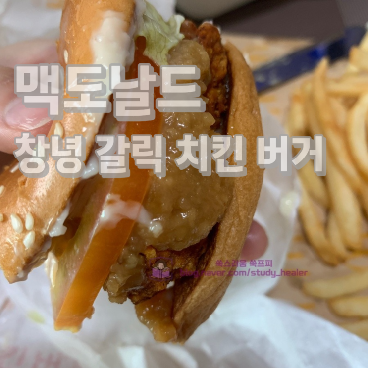  맥도날드 창녕 갈릭 치킨버거 내돈내산 솔직후기