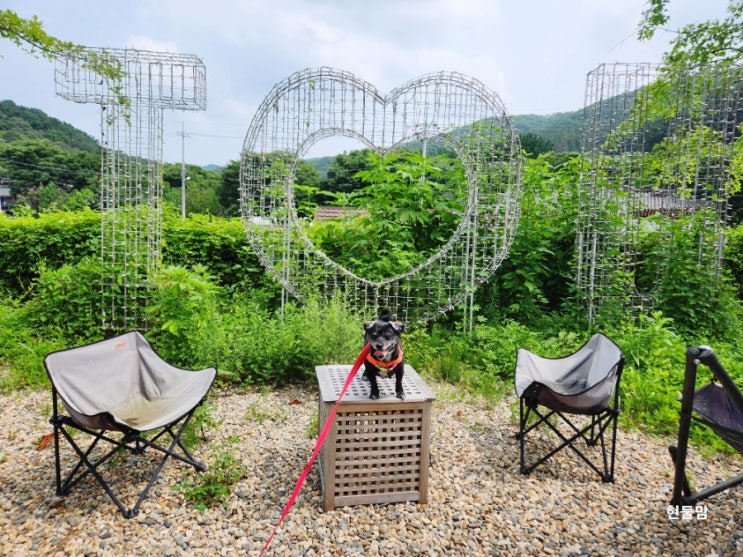 경기 광주 남한산성카페류 流 애견동반 실내도 가능