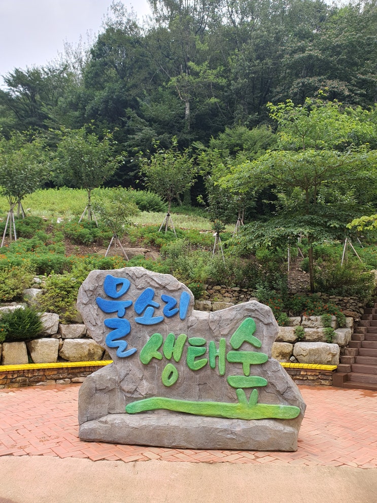 김천 가볼만한곳 물소리생태숲(계곡), 가족여행에도 좋은곳!