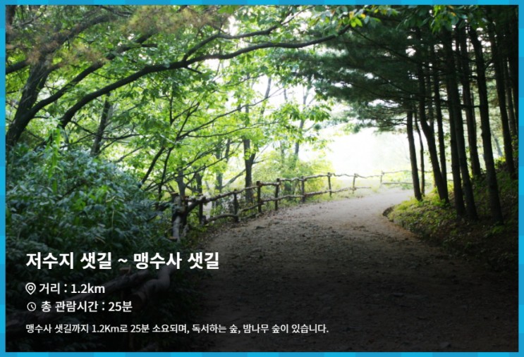 서울대공원 천연림 속 산림욕장 둘레길을 걸으며 힐링하다