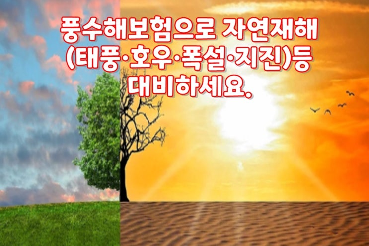  풍수해보험으로 자연재해 (태풍·호우·폭설·지진)등 대비하세요!