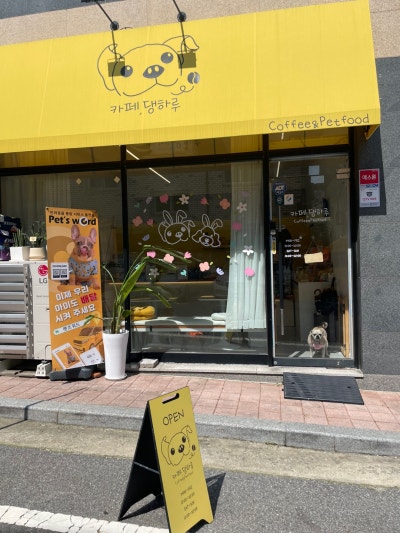 카페,댕하루