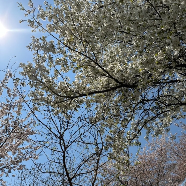  무고죄 고소 고려시 성립요건 뜻 처벌 살펴봐야