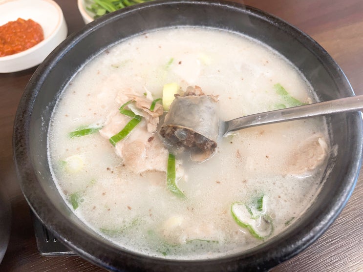  대구 평리동 맛집 국밥관 평리점