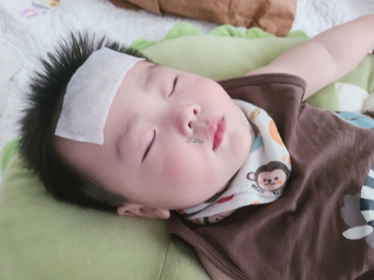  돌 전 아기 코로나 고열로 서울의료원 응급실 갔다왔어요.