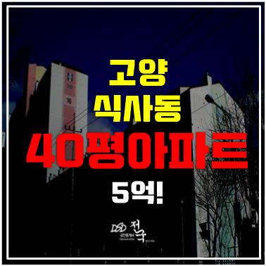 일산아파트경매 식사동 아파트 위시티자이 1단지, 식사2 도시개발구역 5억!