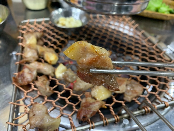 [양산맛집] 꼬들살/덜미살 특수부위 맛집 돼지청문회