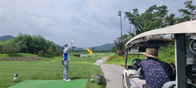  머리올린 내장산cc 재방문, 다이나믹한 코스와 그린에버잔디