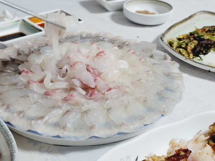  거제도 횟집 한진호막썰어횟집 모듬회 거제여행