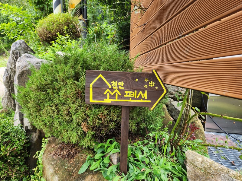 사진 4