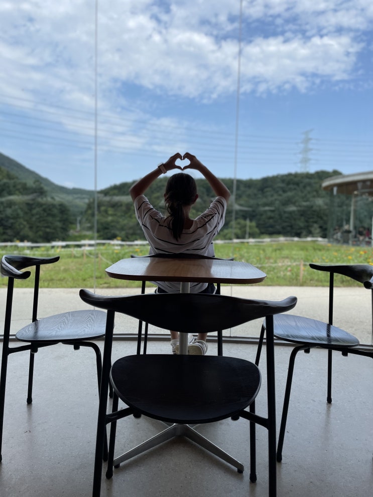 가평 가볼만한곳 아담해서 산책하기 좋은 가평양떼목장 여름휴가 2박 3일 가족여행 3일차 / 슬쌍디아빠 이동섭