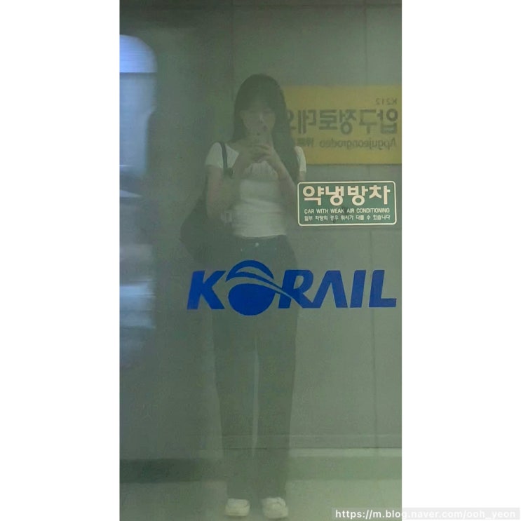  8월 이모저모 - 1