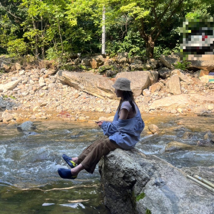  [일상] 나는 강태공 , 사람을 싫어하지만 강아지에게 사랑받고 있다우; 춘식과의 권태기