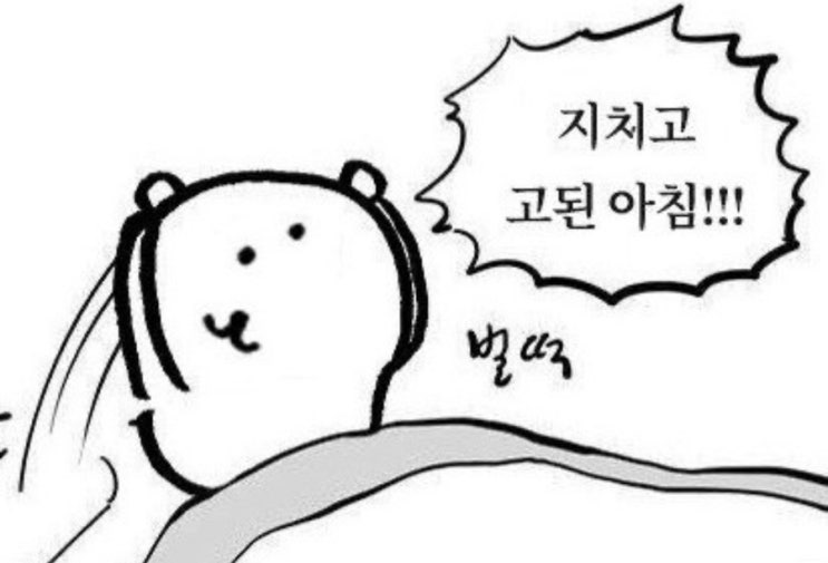  [율밥퍼] SAP ABAP 자격증 - ABAP CERTI 써티 합격 공부법(Feat. 써티 덤프 최신 기출문제 판매)