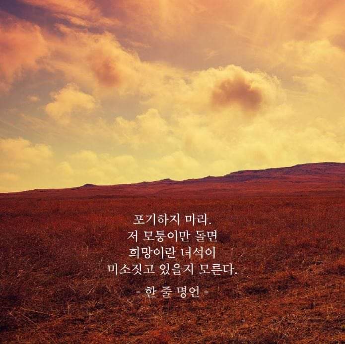 부거사이 [부동산 뉴스와 블로그] 8월 17일(목)